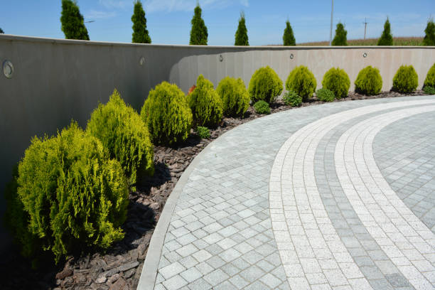 Best Concrete Paver Driveway  in Caryville, TN