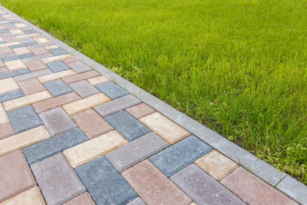 Best Driveway Paver Repair  in Caryville, TN